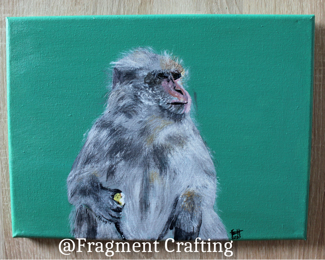 Barbary Macaque Original Painting