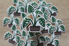 Load image into Gallery viewer, Monstera Plant Sticker
