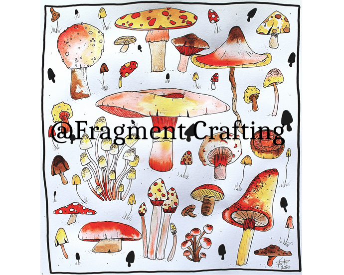 A colourful print illustration of Autumn Mushrooms.