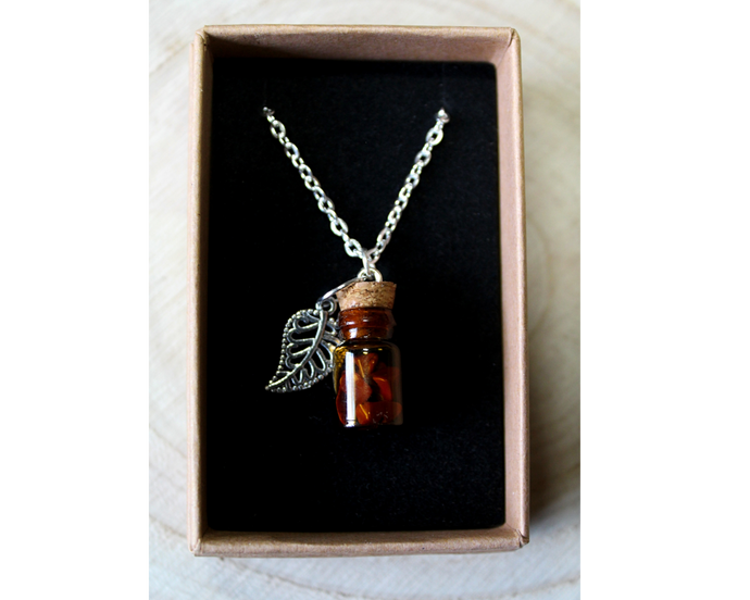 A boxed silver necklace with a leaf and small corked bottle of red jasper crystals.